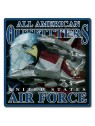 Plaque décorative imprimée All American Outfitters / United States Air Forces