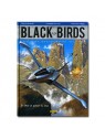 Black Birds - Tome 2 : Dans la gueule du loup