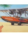 Affiche Catalina Islande - Romain HUGAULT - 70 x 50 cm